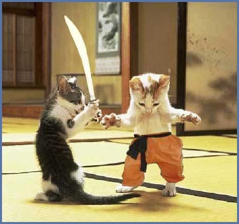 gatos_samurai[1].jpg